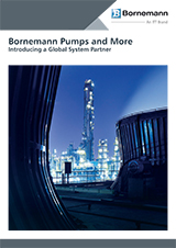 Bornemann Pumps & More - English
